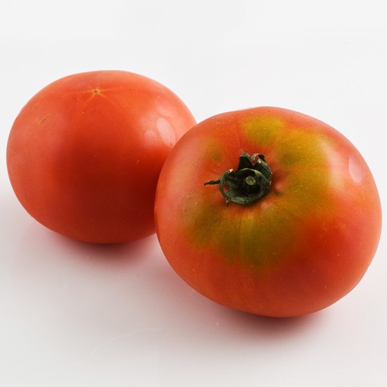 熊本産トマト16㎏ 楽天市場】熊本県産 トマト 等級A・L〜2Lサイズ（16〜20玉入