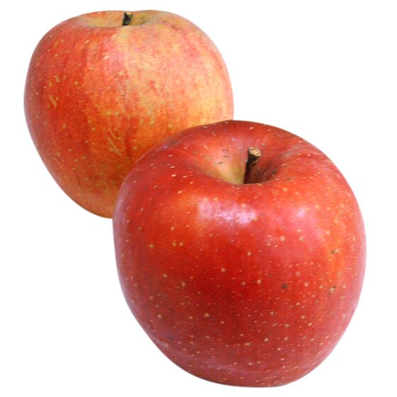 (ӂ Y )