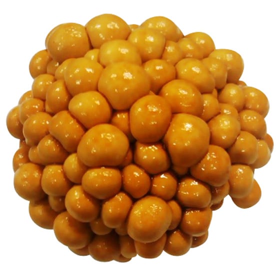 新鮮パック 一株なめこ 長野県産 有機野菜 通販 oisix おいしっくす 新鮮パック 一株なめこ 長野県産 有機野菜 通販 oisix おいしっくす