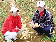 c v                                   