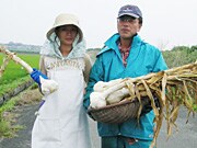 ��� ��������                                   