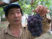 飯塚 芳幸さん他                                   