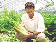 �����@���F����                                  