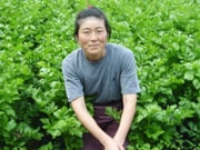 ���c �^���T����                                 