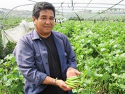 ���c�@�p�a����                                  