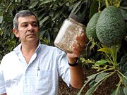 ���J���h�E�x�K����                              