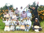  񂳂                                   