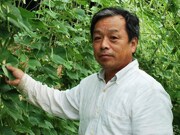 ���n�@���V����                                  