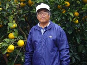 �͓��@�ʂ���                                    