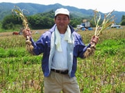 n ꂳ                                   