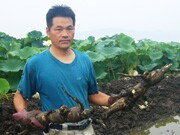 ��� ��������                                   