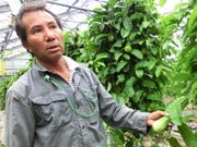 ��� ���炳��                                   