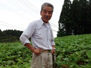 �㐼 �i����                                     