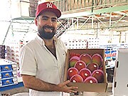 �z�Z�E�J�����X�E���U���X���C�X����              