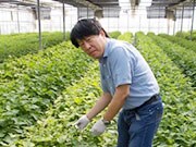 ��� ���j����                                   