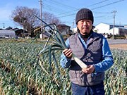 �v�ۓc ������                                   