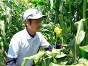 ���Y �H�j����                                   