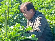 �ؑ� �Y�񂳂�                                   