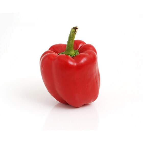 �yCookBox�z�ԃp�v���J(NZ�Y)