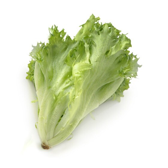 �yCookBox�z�t�������^�X(���Y)