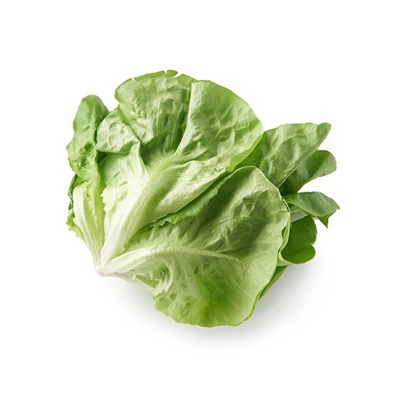 �yCookBox�z�{�X�g�����^�X(���Y)