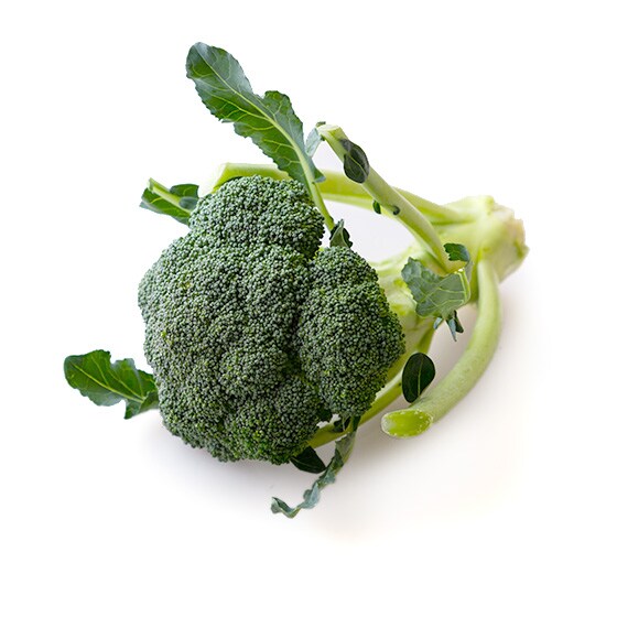 �yCookBox�z�u���b�R���[(���Y)