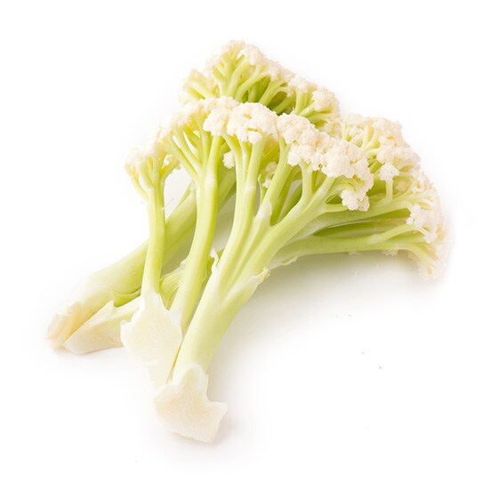 �yCookBox�z�J���t���[��(���Y)