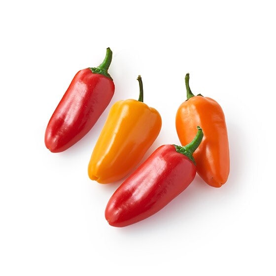 �yCookBox�z�X�i�b�N�p�v���J(���Y)