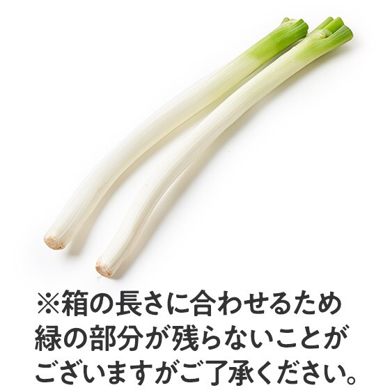 CookBox】長ねぎ(国産)|有機野菜 通販 Oisix(おいしっくす)