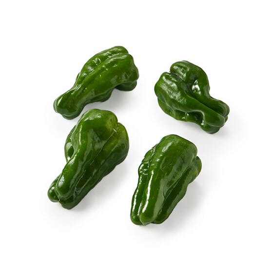 �yCookBox�z�s�[�}��(���Y)