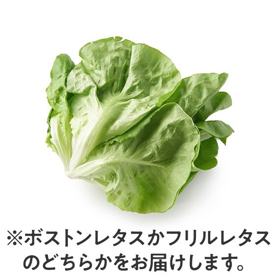 yfOisixʓYz[t^X(Y)