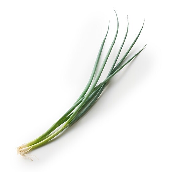 �yCookBox�z���˂�(���Y)