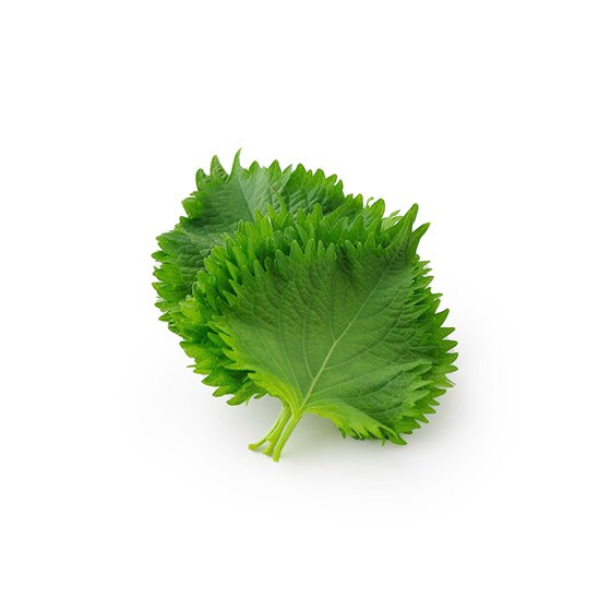 �y�f��Oisix�ʓY�z��t(���Y)