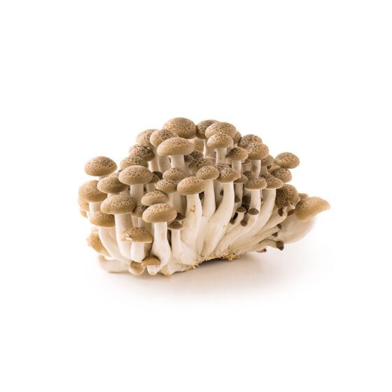 ぷりっとした食感 ぶなしめじ|有機野菜 通販 Oisix(おいしっくす)