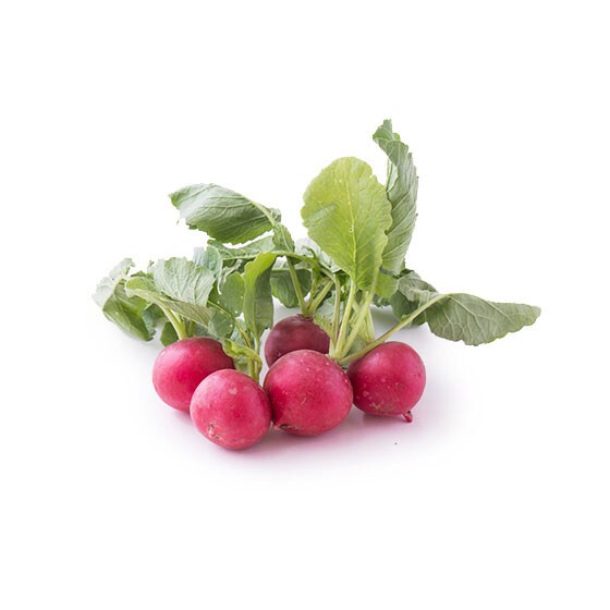 ラディッシュ100g 有機野菜 通販 ｏｉｓｉｘ おいしっくす