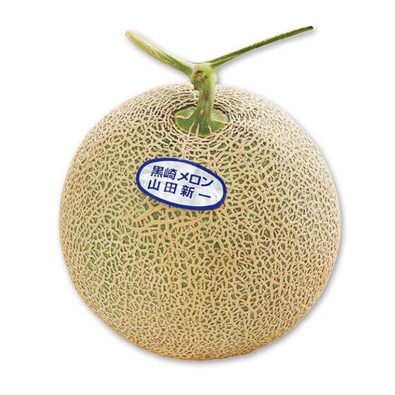 OY̒
