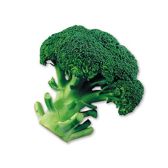 �k�C���̃u���b�R���[