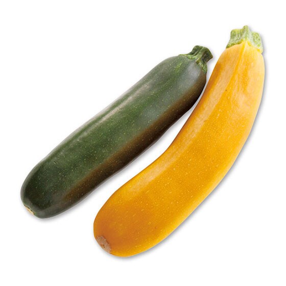 入れるだけで料理が鮮やか ズッキーニ ２本セット 黄色 緑色 有機野菜 通販 ｏｉｓｉｘ おいしっくす