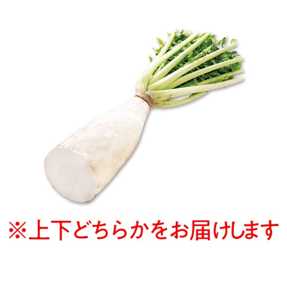 OY卪1/2{