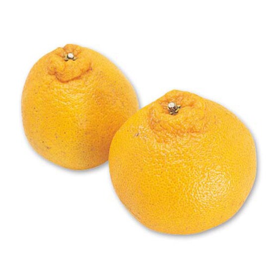 ʂE500g