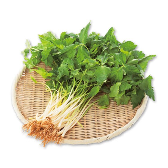 味がしっかり香り豊か 今だけの旬の味 根みつば 250g 有機野菜 通販 ｏｉｓｉｘ おいしっくす