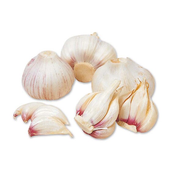 ɂɂE100g