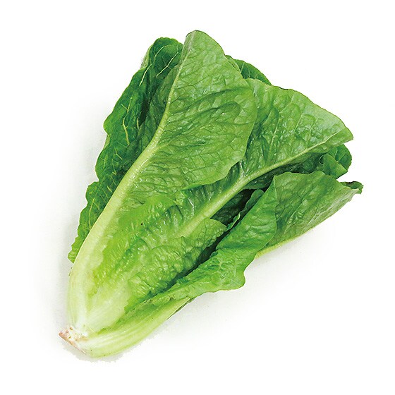 肉厚パリパリ食感 有機ロメインレタス 1コ 有機野菜 通販 oisix おいしっくす 肉厚パリパリ食感 有機ロメインレタス 1コ 有機野菜 通販 oisix おいしっくす