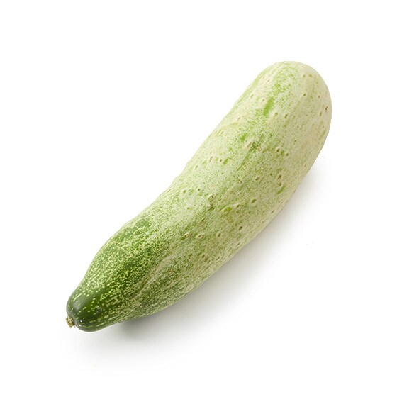 日本むかし野菜高山きゅうり・350g|有機野菜 通販 Oisix