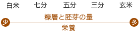 糠層と胚芽の量