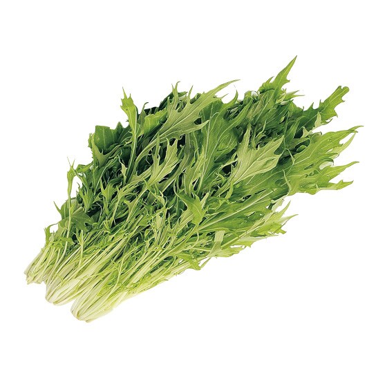 食感しっかり 水菜（長崎県産 近藤さん他）|有機野菜 通販 Oisix