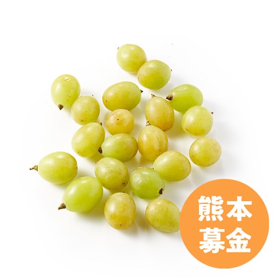 シャインマスカットなう(2023/07/09 20:28:09) 50円寄付]粒だけシャインマスカット(熊本県産)|有機野菜 通販 Oisix