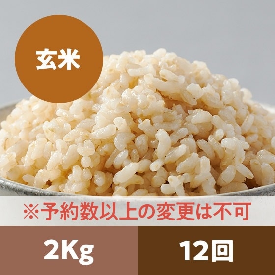 y2024Nė\z胍EJbg2kg 12