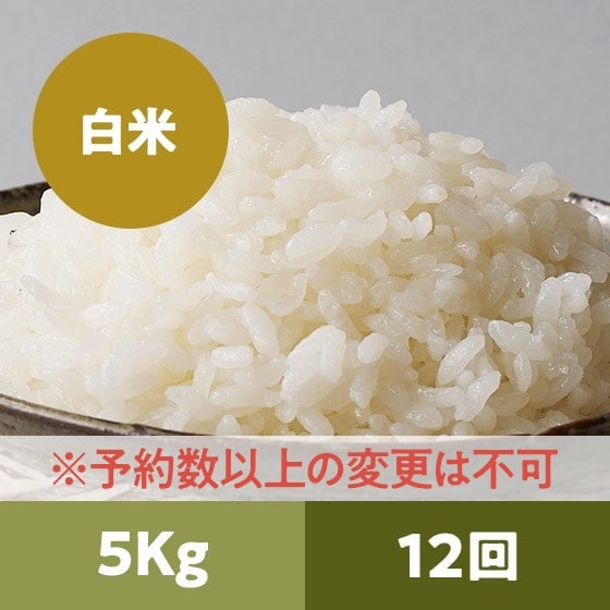 y2024Nė\zR`ЂƂ߂ڂꔒ5kg 12