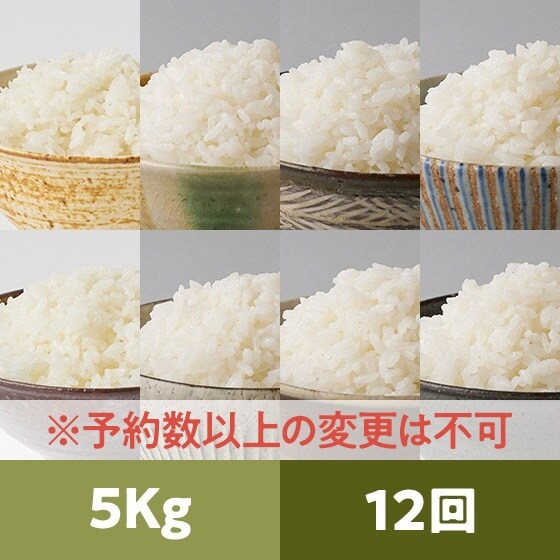 [24Nė\]Hה5kg12ɂ̂߂